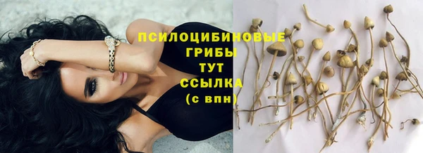 гашишное масло Абаза