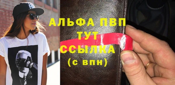 твердый Протвино