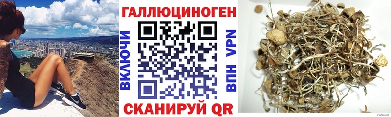купить закладку Благодарный ссылка на мегу ССЫЛКА Псилоцибиновые грибы ЛСД