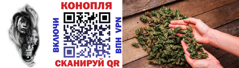 Канабис ГИДРОПОН  где купить наркотик  Благодарный 